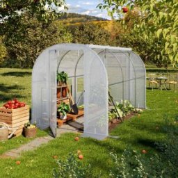 TOOLPORT 2x3m Serre tunnel, Bâche PE, blanc - (8995)