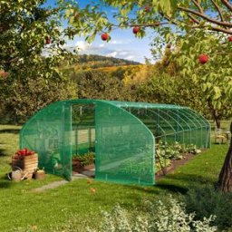 TOOLPORT 4x8m Serre tunnel, Bâche PE, vert - (8993)