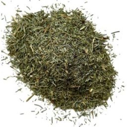 France Herboristerie Tisane Prêle des champs (Queue de Chat) plante.