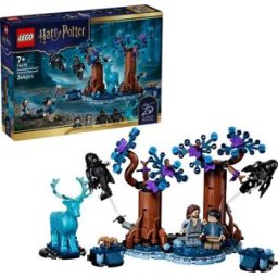 La Forêt interdite : Expecto Patronum LEGO Harry Potter 76475