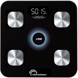 little-balance Pèse-personne électronique LITTLE BALANCE 8861