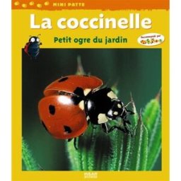 La coccinelle, petit ogre du jardin Valérie Tracqui Milan jeunesse