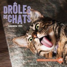 Calendrier mural drôles de chats 2025 collectif Hugo Image