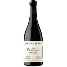 Bodega Hacienda Solano Hacienda Solano Finca Cascorrales 2019