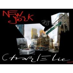 New York by Charlélie : photos. Vol. 1 CharlÉlie Couture Chêne