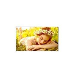 LG 86UL5Q-E UL5Q-E Series - 86 avec Pro:Idiom integre ecran LCD retro-eclaire par LED - 4K - pour signalisation numerique