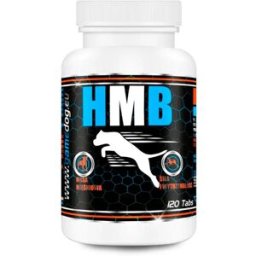 Game Dog Supplément Pour Chien Hmb 120 Tablets One Size