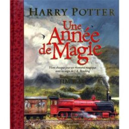 Gallimard Jeunesse Harry Potter - Une année de magie