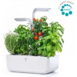 Jardin int VERITABLE Smart Arctic White