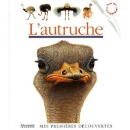 L'autruche Pierre de Hugo Gallimard-Jeunesse