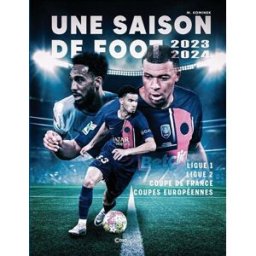 Une saison de foot : 2023-2024 : ligue 1, ligue 2, Coupe de France, coupes européennes Mélanie Kominek Casa