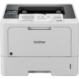 Brother HL-L5210DN Imprimante à jet dencre laser, couleur noir et blanc A4 48 pages/min 1200 x 1200 dpi recto-verso, réseau, USB