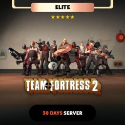 Kinguin Team Fortress 2, 30 days Private Server - Elite Package Code