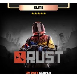Kinguin Rust 30 days Private Server - Elite Package Code