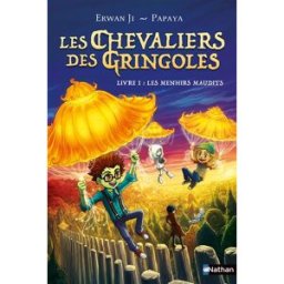 Les chevaliers des Gringoles. Vol. 1. Les menhirs maudits Erwan Ji Nathan Jeunesse