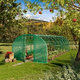 TOOLPORT 3x8m Serre tunnel, Bâche PE, vert - (8991)