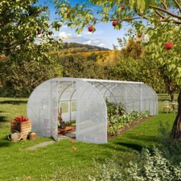 TOOLPORT 3x8m Serre tunnel, Bâche PE, blanc - (8998)