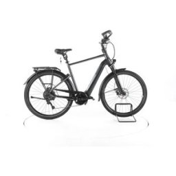 Pegasus Premio EVO 10 Lite Vélo Électrique de Trekking - 292038