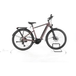 Carver Route E.530 Vélo Électrique de Trekking - 295941