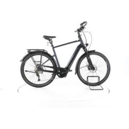 Pegasus Premio Evo 10 Lite Comfort Vélo Électrique de Trekking - 294199