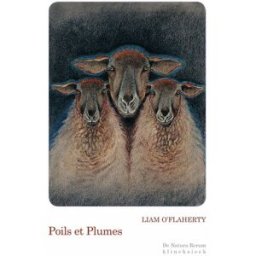 Poils et plumes Liam O'Flaherty Klincksieck