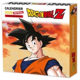 Dragon ball Z : calendrier 2026 Collectif Play Bac