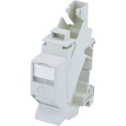 Module AMJ-S CAT 6a T568B Telegärtner 100023004 RJ45 Boîtier femelle RJ45 gris 1 pc(s)