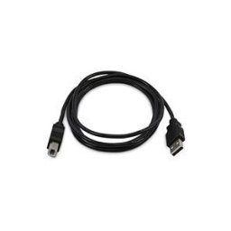 StarTech.com - cable USB - USB pour USB type B - Conformite TAA - 3 m