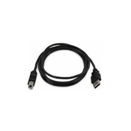 StarTech.com - cable USB - USB pour USB type B - Conformite TAA - 1.8 m
