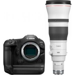 Canon EOS R3 + RF 600mm f4 L IS USM