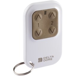 DELTA DORE Télécommande 2 voies pour éclairage ou volets roulants - TYXIA 1400