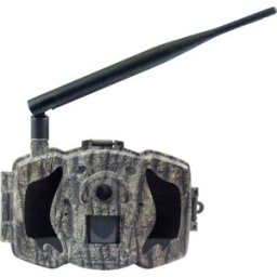 Caméra de chasse Berger & Schröter MG984G-30M 30 Mill. pixel LED noires, télécommande, LED sans lueur, enregistrement sonore, module GSM, Transfert dimages 4G