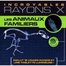Les animaux familiers David George Gordon Editions Prisma