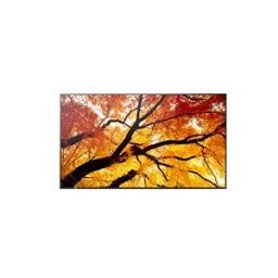 Sharp MultiSync PN-M552 M2 Series - 55 ecran LCD retro-eclaire par LED - 4K - pour signalisation numerique