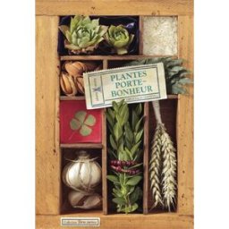 Plantes porte-bonheur Véronique Barrau Plume de carotte