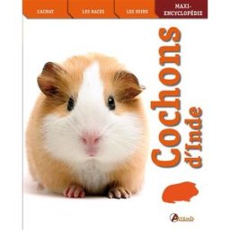 Cochons d'Inde mahoney myra Artémis