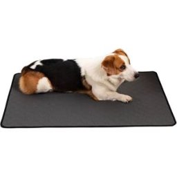 INF Tapis d'entraînement pour animaux de compagnie, tapis de pipi lavables pour chiens L