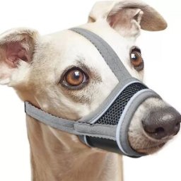 INF Muselière Réfléchissante pour Chien - Nylon Doux, Ajustable et Respirant M