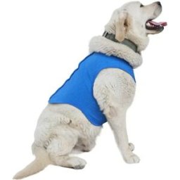 INF Gilet Refroidissant Humidifiable pour Animaux d'Été - Gilet Respirant Léger pour Chien Soulagement Chaleur M