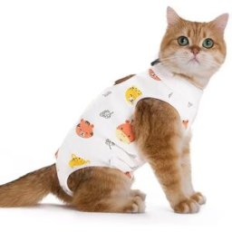 INF Culotte Physiologique Respirante pour Animaux - Récupération Post-Opératoire & Sevrage M