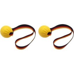 INF Corde d'entraînement anti-morsure pour chien Petite (lot de 2) – Jouet à mâcher EVA pour soins dentaires et jeu en solo