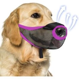 INF Muselière pour chien en maille aérée - Anti-morsure, Anti-aboiement, Anti-léchage Violette L