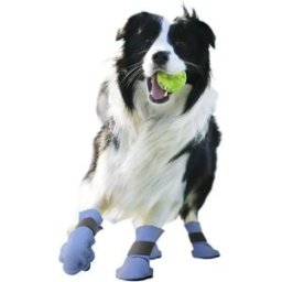 INF Ensemble de 4 Bottes d'Hiver Antidérapantes pour Chien - Protection Chaude des Pattes Petit