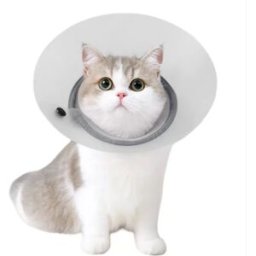 INF Collier de récupération respirant et détachable pour animaux - Protection anti-morsure et anti-griffure post-opératoire Gris L