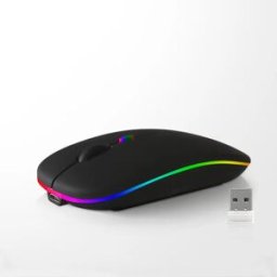 INF Souris sans fil - 2.4G + Bluetooth, double mode, noir éclairé
