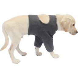 INF Manchons de protection avant pour chien – Protection double respirante et élastique, manchon anti-léchage post-opératoire XL