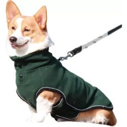 INF Coupe-vent réfléchissant pour animaux de compagnie 4XL