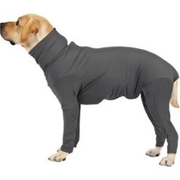 INF Combinaison pour chien M