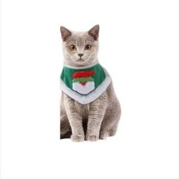 INF Bavoir de Noël pour animaux de compagnie - Col en peluche vert Père Noël pour les fêtes