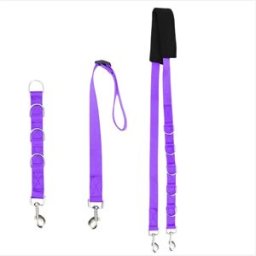 INF Ensemble de toilettage et de bain pour animaux de compagnie en trois pièces – Laisse de retenue en polyester pour chien Violet